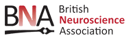 The British Neuroscience Association Logo