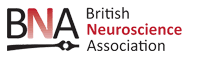 The British Neuroscience Association Logo